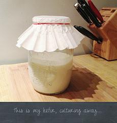 Kefir in Progress