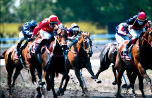 Plans are Not Made to be Followed