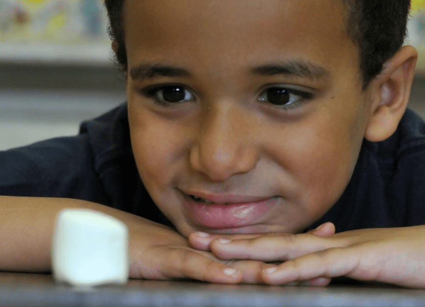 How To Choose The Right Next Job